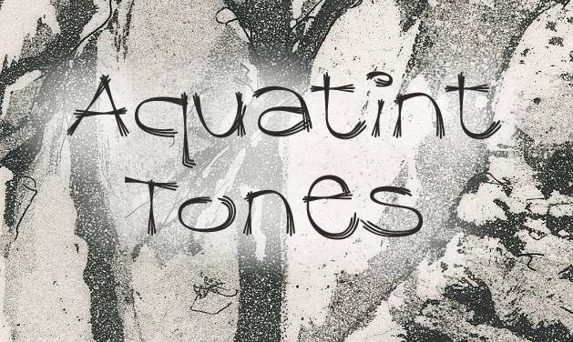 Aquatint Tones image
