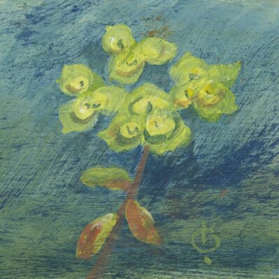 sun spurge painting